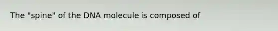 The "spine" of the DNA molecule is composed of