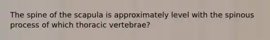 The spine of the scapula is approximately level with the spinous process of which thoracic vertebrae?