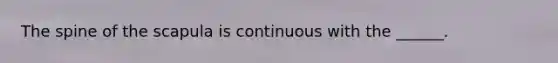 The spine of the scapula is continuous with the ______.