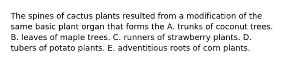 The spines of cactus plants resulted from a modification of the same basic plant organ that forms the A. trunks of coconut trees. B. leaves of maple trees. C. runners of strawberry plants. D. tubers of potato plants. E. adventitious roots of corn plants.