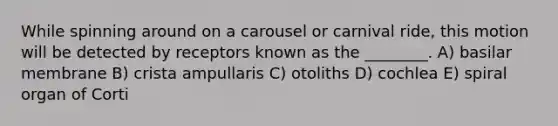 While spinning around on a carousel or carnival ride, this motion will be detected by receptors known as the ________. A) basilar membrane B) crista ampullaris C) otoliths D) cochlea E) spiral organ of Corti