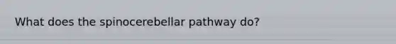 What does the spinocerebellar pathway do?