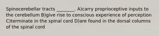 Spinocerebellar tracts ________. A)carry proprioceptive inputs to the cerebellum B)give rise to conscious experience of perception C)terminate in the spinal cord D)are found in the dorsal columns of the spinal cord