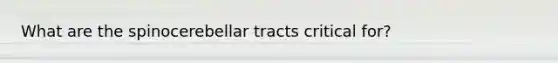 What are the spinocerebellar tracts critical for?