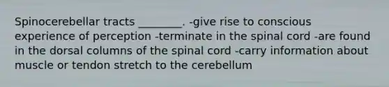 Spinocerebellar tracts ________. -give rise to conscious experience of perception -terminate in the spinal cord -are found in the dorsal columns of the spinal cord -carry information about muscle or tendon stretch to the cerebellum