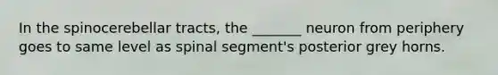 In the spinocerebellar tracts, the _______ neuron from periphery goes to same level as spinal segment's posterior grey horns.