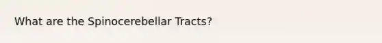 What are the Spinocerebellar Tracts?