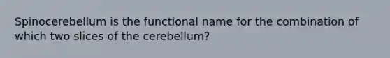 Spinocerebellum is the functional name for the combination of which two slices of the cerebellum?