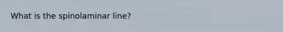 What is the spinolaminar line?