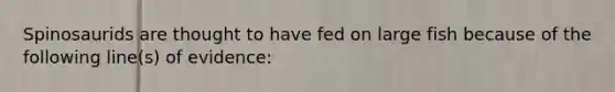 Spinosaurids are thought to have fed on large fish because of the following line(s) of evidence: