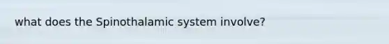 what does the Spinothalamic system involve?