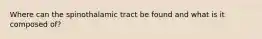 Where can the spinothalamic tract be found and what is it composed of?