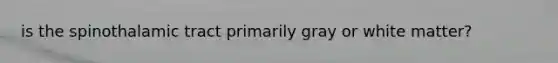 is the spinothalamic tract primarily gray or white matter?
