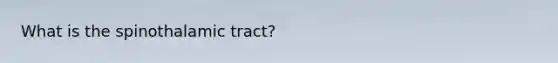 What is the spinothalamic tract?