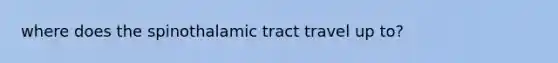 where does the spinothalamic tract travel up to?