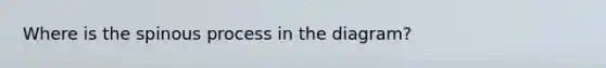 Where is the spinous process in the diagram?