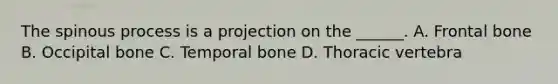 The spinous process is a projection on the ______. A. Frontal bone B. Occipital bone C. Temporal bone D. Thoracic vertebra