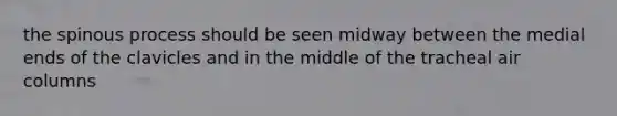 the spinous process should be seen midway between the medial ends of the clavicles and in the middle of the tracheal air columns