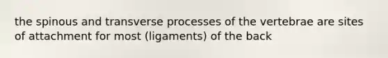 the spinous and transverse processes of the vertebrae are sites of attachment for most (ligaments) of the back