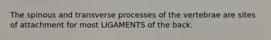 The spinous and transverse processes of the vertebrae are sites of attachment for most LIGAMENTS of the back.