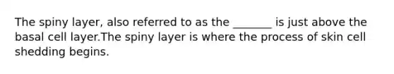 The spiny layer, also referred to as the _______ is just above the basal cell layer.The spiny layer is where the process of skin cell shedding begins.