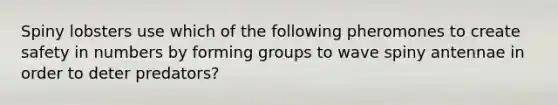 Spiny lobsters use which of the following pheromones to create safety in numbers by forming groups to wave spiny antennae in order to deter predators?