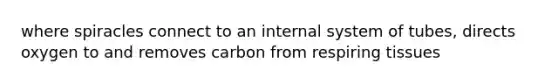 where spiracles connect to an internal system of tubes, directs oxygen to and removes carbon from respiring tissues