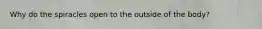 Why do the spiracles open to the outside of the body?