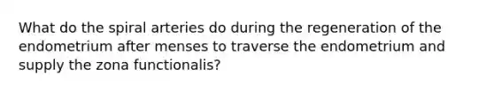 What do the spiral arteries do during the regeneration of the endometrium after menses to traverse the endometrium and supply the zona functionalis?