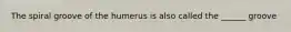 The spiral groove of the humerus is also called the ______ groove