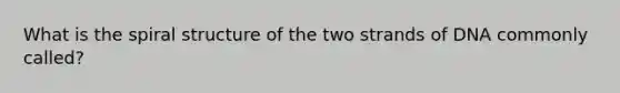 What is the spiral structure of the two strands of DNA commonly called?