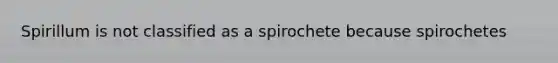 Spirillum is not classified as a spirochete because spirochetes