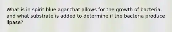 What is in spirit blue agar that allows for the growth of bacteria, and what substrate is added to determine if the bacteria produce lipase?