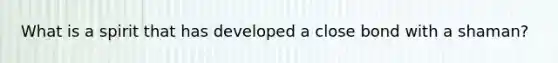What is a spirit that has developed a close bond with a shaman?