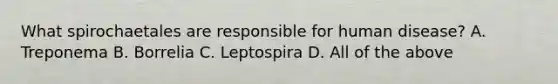 What spirochaetales are responsible for human disease? A. Treponema B. Borrelia C. Leptospira D. All of the above