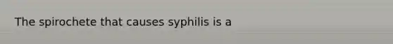 The spirochete that causes syphilis is a