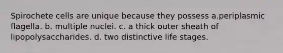 Spirochete cells are unique because they possess a.periplasmic flagella. b. multiple nuclei. c. a thick outer sheath of lipopolysaccharides. d. two distinctive life stages.