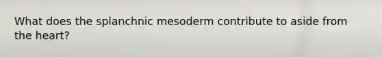 What does the splanchnic mesoderm contribute to aside from <a href='https://www.questionai.com/knowledge/kya8ocqc6o-the-heart' class='anchor-knowledge'>the heart</a>?