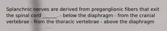 Splanchnic nerves are derived from preganglionic fibers that exit the spinal cord ______. - below the diaphragm - from the cranial vertebrae - from the thoracic vertebrae - above the diaphragm