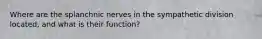 Where are the splanchnic nerves in the sympathetic division located, and what is their function?