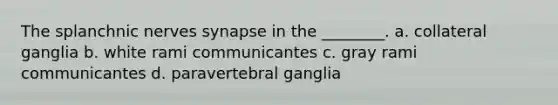 The splanchnic nerves synapse in the ________. a. collateral ganglia b. white rami communicantes c. gray rami communicantes d. paravertebral ganglia