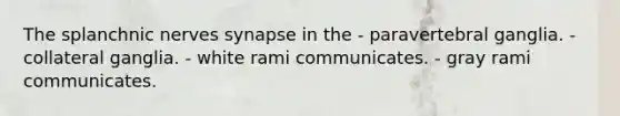 The splanchnic nerves synapse in the - paravertebral ganglia. - collateral ganglia. - white rami communicates. - gray rami communicates.
