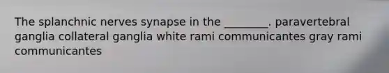 The splanchnic nerves synapse in the ________. paravertebral ganglia collateral ganglia white rami communicantes gray rami communicantes