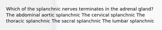 Which of the splanchnic nerves terminates in the adrenal gland? The abdominal aortic splanchnic The cervical splanchnic The thoracic splanchnic The sacral splanchnic The lumbar splanchnic