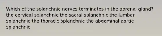 Which of the splanchnic nerves terminates in the adrenal gland? the cervical splanchnic the sacral splanchnic the lumbar splanchnic the thoracic splanchnic the abdominal aortic splanchnic