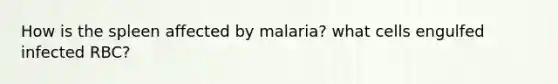 How is the spleen affected by malaria? what cells engulfed infected RBC?