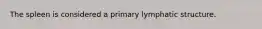 The spleen is considered a primary lymphatic structure.