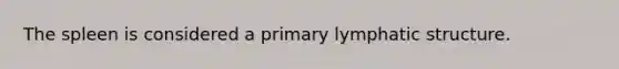 The spleen is considered a primary lymphatic structure.