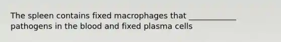 The spleen contains fixed macrophages that ____________ pathogens in the blood and fixed plasma cells