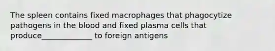 The spleen contains fixed macrophages that phagocytize pathogens in the blood and fixed plasma cells that produce_____________ to foreign antigens